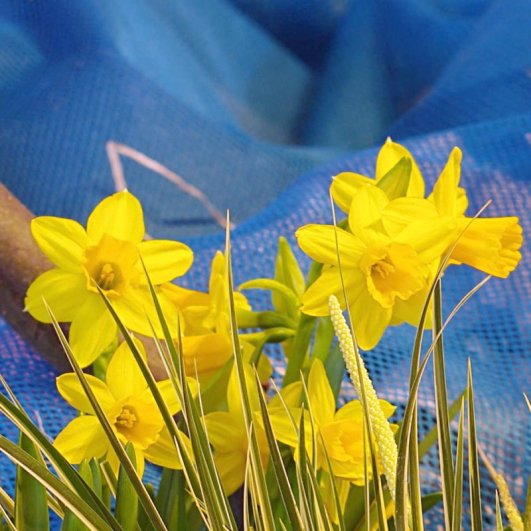 Eindrücke aus den Ostergarten-Installationen 2011 und 2013